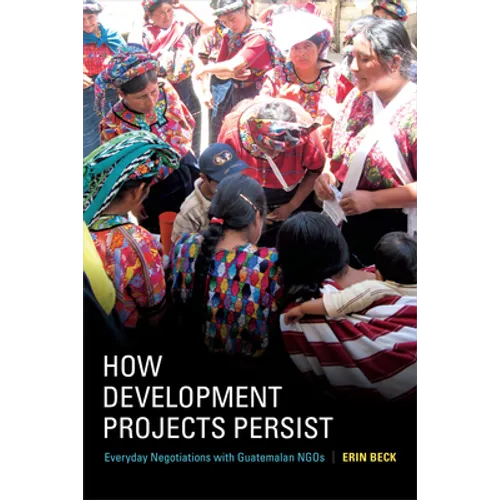 How Development Projects Persist: Everyday Negotiations with Guatemalan NGOs - Paperback