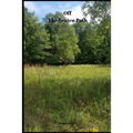 Off The Beaten Path: 4 year Blood Glucose Tracker - Paperback
