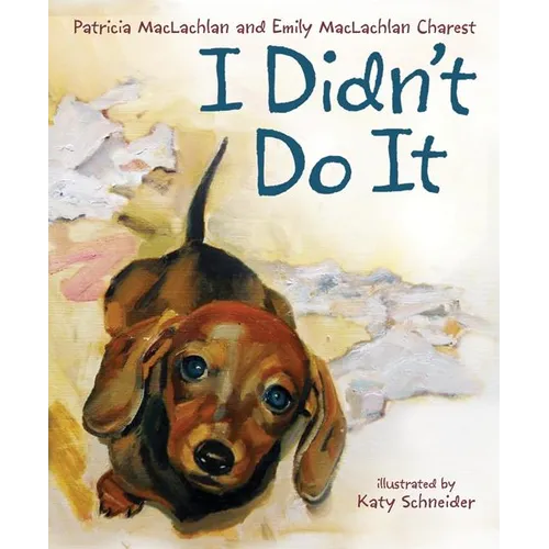 I Didn't Do It - Hardcover