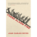 Three Alarm Fire: Stories - Paperback
