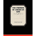 The Promise Of American Life - Paperback