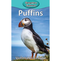 Puffins - Hardcover
