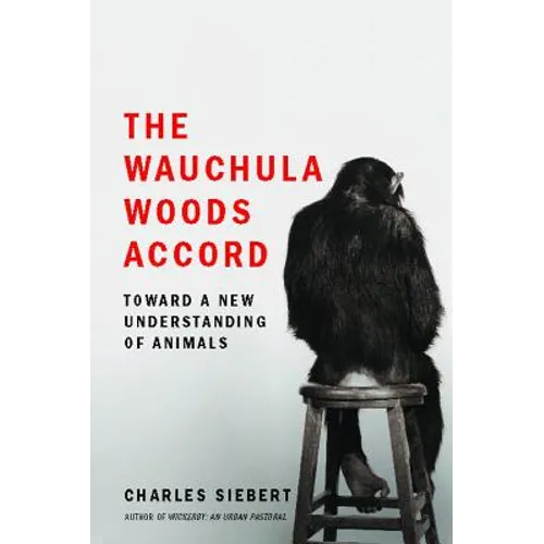 Wauchula Woods Accord - Paperback