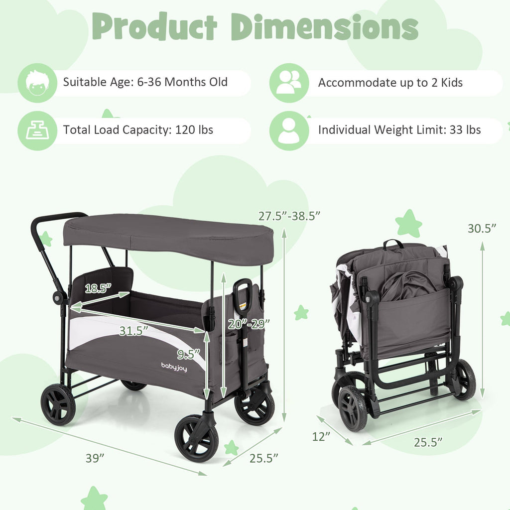 2-Seat Stroller Wagon with Adjustable Canopy and Handles