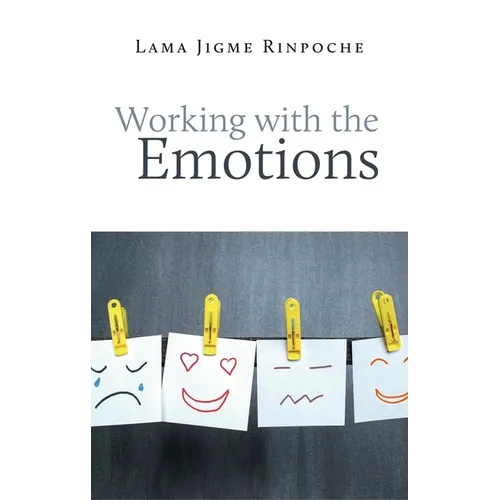 Working with the Emotions - Paperback