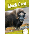 Musk Oxen - Library Binding