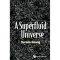 A Superfluid Universe - Hardcover