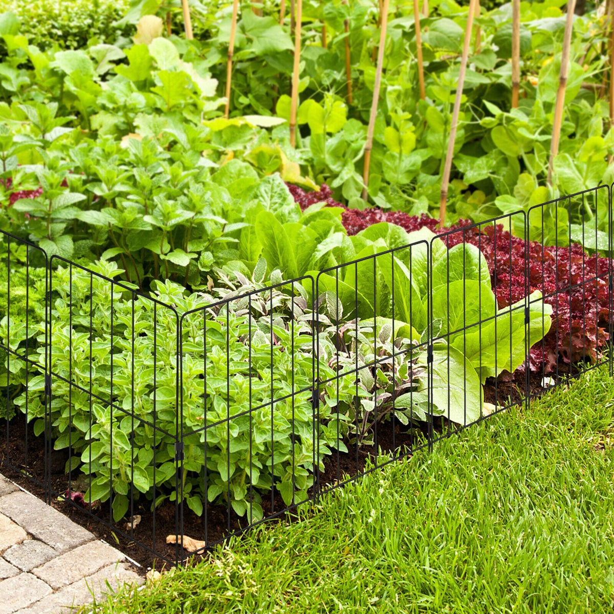 25 Pack Rustproof Decorative Garden Fence Set for Dog Flower bed