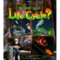 What Is a Life Cycle? - Paperback