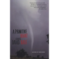 A Primitive Heart: Stories - Paperback