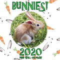 Bunnies! 2020 Mini Wall Calendar - Paperback