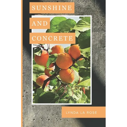 Sunshine and Concrete - Paperback