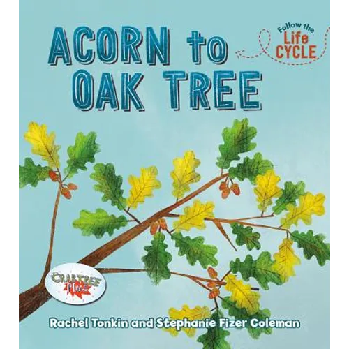 Acorn to Oak Tree - Paperback