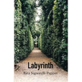 Labyrinth - Paperback