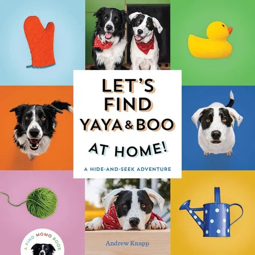 Let's Find Yaya and Boo at Home!: A Hide-And-Seek Adventure - Board Book