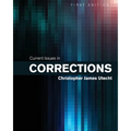 Current Issues in Corrections - Paperback