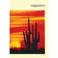 Saguaro: National Monument - Paperback