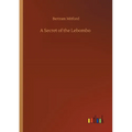 A Secret of the Lebombo - Paperback