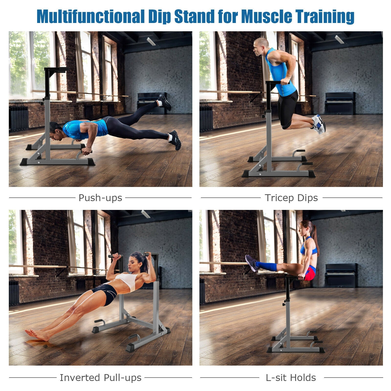 Adjustable Dip Bar with 10 Height Levels