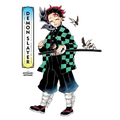 The Art of Demon Slayer: Kimetsu No Yaiba - Hardcover