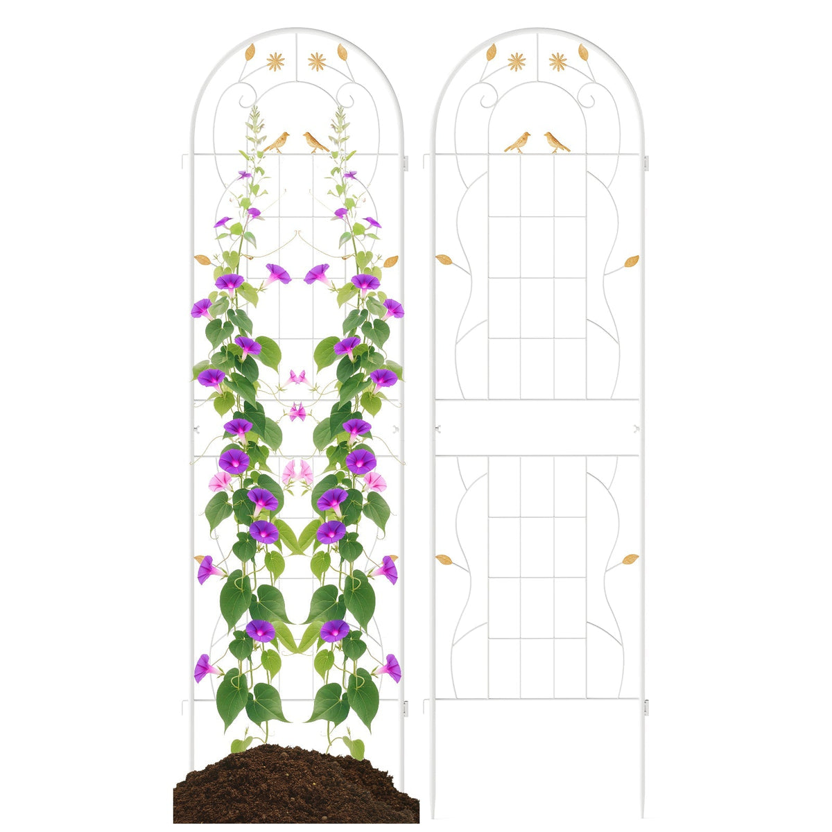 2 Pack 71 x 20 Inch Metal Garden Trellis Rustproof Plant Support for Climbing Plants