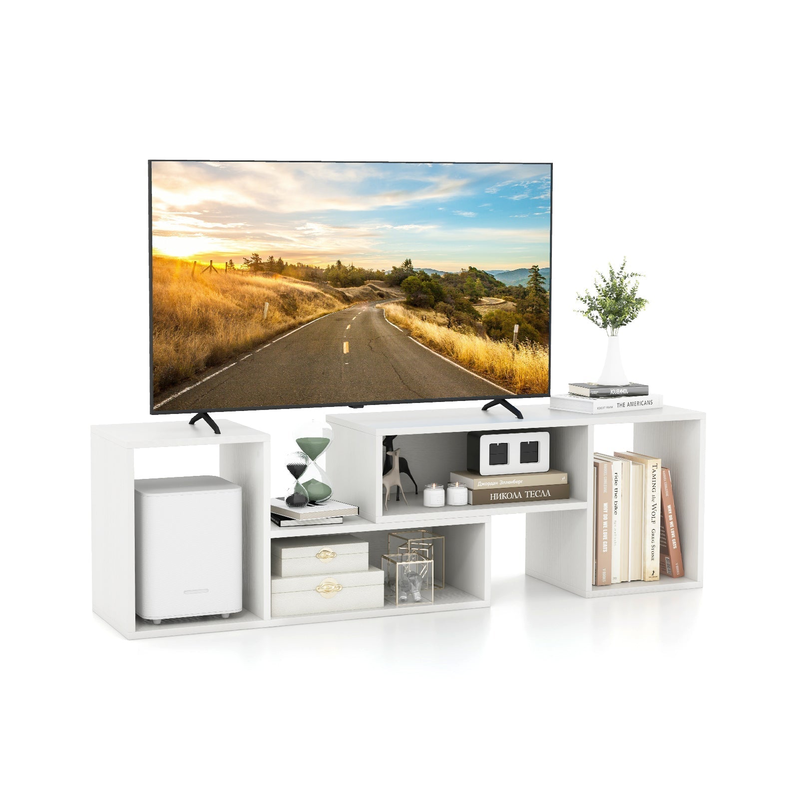 2 Pieces Adjustable TV Stand for TVs up to 55 Inch with Storage Cubes