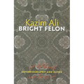 Bright Felon: Autobiography and Cities - Paperback