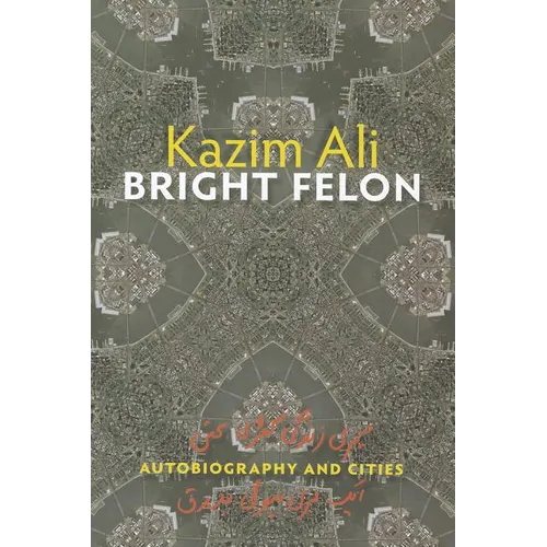 Bright Felon: Autobiography and Cities - Paperback