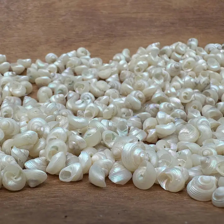 Bulk Mini Pearl Spiral Top Shells – 1 oz for Crafting & DIY Projects