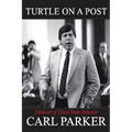 Turtle on a Post - Paperback