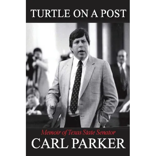 Turtle on a Post - Paperback