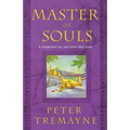 Master of Souls: A Mystery of Ancient Ireland - Paperback