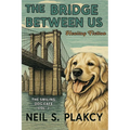 The Bridge Between Us: Healing Fiction - Paperback