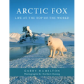 Arctic Fox: Life at the Top of the World - Paperback