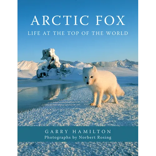 Arctic Fox: Life at the Top of the World - Paperback