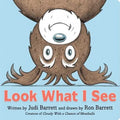 Look What I See - Board Book