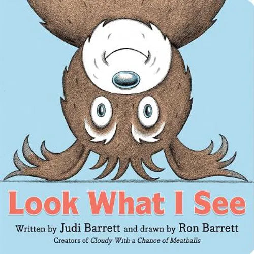 Look What I See - Board Book