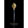 Head Lion - Hardcover