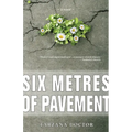 Six Metres of Pavement - Paperback