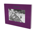 Daniel Richter - 10001 Nights: Cat. Kestnergesellschaft Hanover - Hardcover