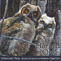 A Tale of Horned Owls - Paperback