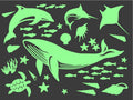 Sea Animal Everyday Set
