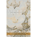 Silence, The Breaking of It - Paperback