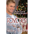 Foxe Den: A Holiday Collection of Skyler Foxe Short Stories - Paperback