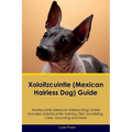 Xoloitzcuintle (Mexican Hairless Dog) Guide Xoloitzcuintle Guide Includes: Xoloitzcuintle Training, Diet, Socializing, Care, Grooming, and More - Paperback