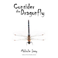 Consider the Dragonfly - Paperback