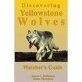 Discovering Yellowstone Wolves: Watcher's Guide - Paperback