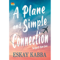 A Plane and Simple Connection - Hardcover