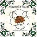 Magnolia Fawn - Paperback