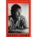 Florida Frenzy - Paperback